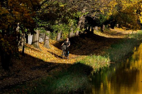 BRIGHT DAYS: The sun illuminates the autumn leaves as a cyclist enjoys the good weather, at Grand Canal, Dublin. Photograph: Gareth Chaney/Collins
