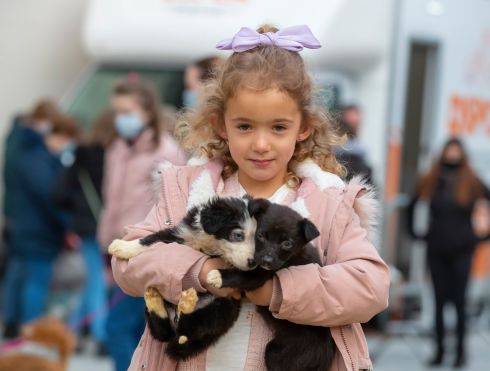 At this year's Winterval Waterford 2021 was six-year-old Mila Voogma from Waterford with pups Sparkle and Marvel. Photograph: Patrick Browne


