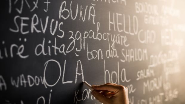 Languages can be studied in a number of different capacities. Photograph: iStock