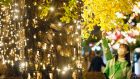 A young woman touches autumn colored leaves during a Christmas illuminations event in Tokyo. Photograph: Franck Robichon/EPA