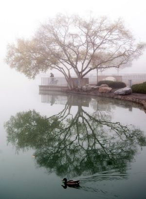 CALIFORNIA FOG: A man fishes during a foggy morning at North Lake in Irvine, California. Photograph: Paul Bersebach/The Orange County Register via AP