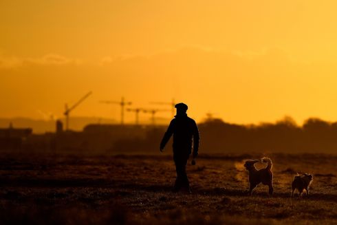 EARLY WALK: A man takes his dogs out for a walk at sunrise in the Phoenix Park in Dublin. Photograph: Clodagh Kilcoyne/The Irish Times
