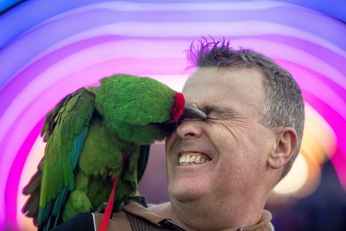 FRIENDLY PECK: Military macaw Roco pecks Dara Beggan on the nose as they walk across Millennium Bridge in Dublin. Photograph: Tom Honan