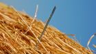 Index fund guru John Bogle advised: don’t look for the needle in the haystack, just buy the haystack