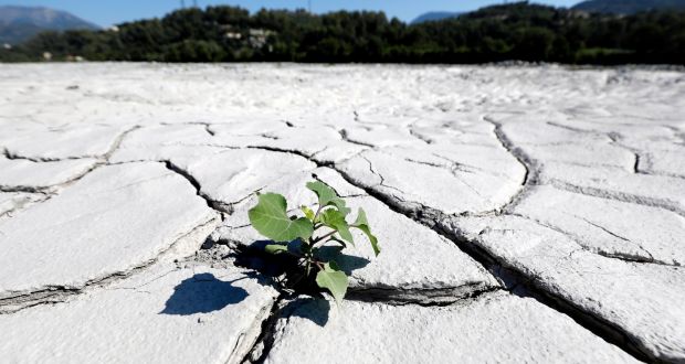 A dried-up part of the Var river bed due to low water level and hot temperatures in Carros, southern France, in August. Photograph: Sebastien Nogier/EPA