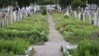 Deansgrange Cemetery. The Dún Laoghaire-Rathdown County Council’s director of services, Robert Burns, said the route  would be implemented in a ‘sensitive, tasteful and respectful manner’. Photograph: Nick Bradshaw