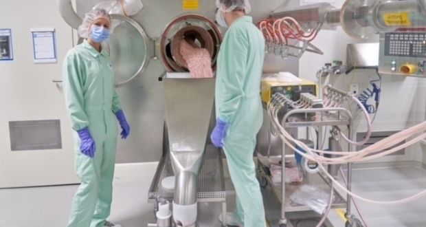 Pfizer shows workers in Freiburg, Germany, in November 2021 manufacturing Pfizer’s new antiviral drug, Paxlovid. Photograph: Pfizer via The New York Times