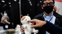 A Consumer Electronics Show (CES) attendee tries out Yukai Engineering’s Amagami Ham Ham, a cat robot that nibbles your  finger. Photograph: Patrick T Fallon/AFP