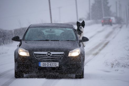 RIDE ALONG: A dog looks out of a car window at the wintry conditions in Killeshin, Co Laois. Photograph: Niall Carson/PA Wire
