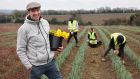 Brexit puts spring in step of Irish daffodil farmers