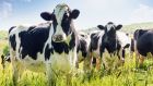 Methane emission reduction is seen as key to reducing the agriculture sector&rsquo;s overall carbon footprint. Photograph: iStock