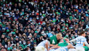 Fans watch on during the November international between Ireland and Argentina at the Aviva Stadium. Photograph: James Crombie/Inpho