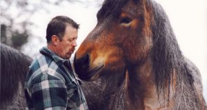 Simon Lenihan with one his Swedish stallions which he uses to   extract timber in an environmentally friendly way