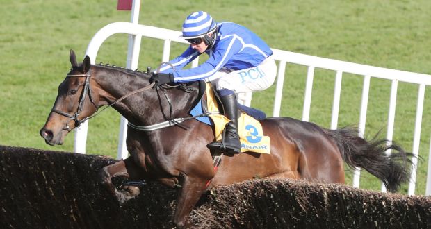 Energumene is held in high regard by the powerful Mullins yard and expectations are high. File photograph: Inpho