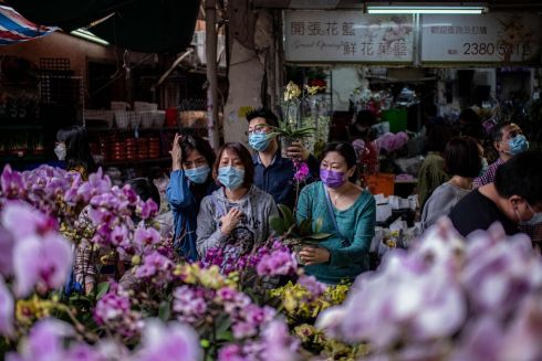 LUNAR NEW YEAR: Shoppers purchase orchids at a flower market in Prince Edward district ahead of the Lunar New Year in Hong Kong. Photograph: Louise Delmotte/AFP via Getty