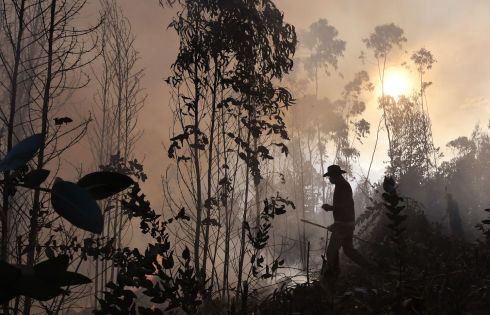 BUSHFIRE: A man walks near a bushfire in Guatavita, near Bogota. The bushfire has destroyed dozen of hectares of native vegetation and is out of control, according to local authorities. Photograph: Daniel Munoz/AFP via Getty