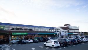 The old Dundrum shopping centre: Property group Hammerson and insurer Allianz have been in talks with An Bord Pleanála to build up to 889 apartments on the site. Photograph: Tom Honan