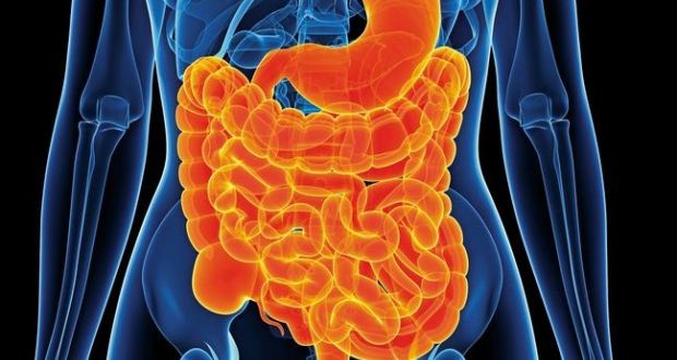 A growing body of evidence implicates the gut microbiome – the trillions of bacteria, fungi and other microbes inhabiting the digestive tract – in Covid-19’s severity. 