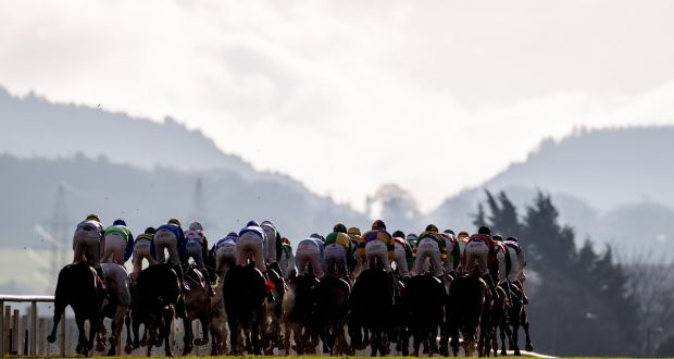 IHRB issued its second equine anti-doping report for the second half of 2021. It showed that rates of hair testing on horses more than doubled in that period with 243 hair tests from 1,623 races.   Photograph: James Crombie/Inpho