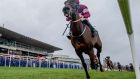 Conflated was a surprise winner of the Irish Gold Cup at Leopardstown. Photograph: Morgan Treacy/Inpho
