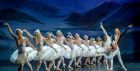 Theatres across Ireland have cancelled performances of Swan Lake by the Royal Moscow Ballet