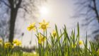 The continuously unsettled and stormy weather of the past few weeks will be replaced by a frosty but sunny start to the day on Friday. Photograph: iStock
