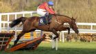 Paul Townend riding Sir Gerhard goes over the last to win the Tattersalls Ireland Novice Hurdle at Leopardstown on February 6th, 2022. Photograph:   Alan Crowhurst/Getty Images