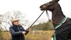 Trainer Nicky Henderson parades Cheltenham favourite Shishkin during a stable visit at Seven Barrows in England earlier this year. Photograph: Ryan Pierse/Getty Images