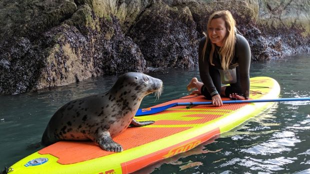 Catherine Etienne of Pure Magic meets a friend during a paddle boarding excursion with Pure Magic Water Sports around Irelands Eye.