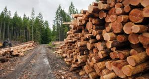 ‘With timber, you have a building material that stores carbon rather than emits it. Carbon is locked away in the fabric of the building. It’s a virtuous circle,’ says Forestry Industry Ireland’s Mark McAuley.