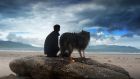 Man and dog on a beach in Dingle, Co Kerry. Photograph: iStock