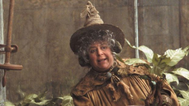 Miriam Margolyes as Prof Pomona Sprout in Harry Potter and the Chamber of Secrets (2002)