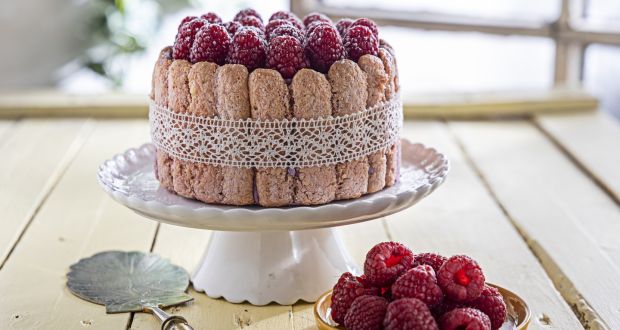 Raspberry rose Charlotte cake