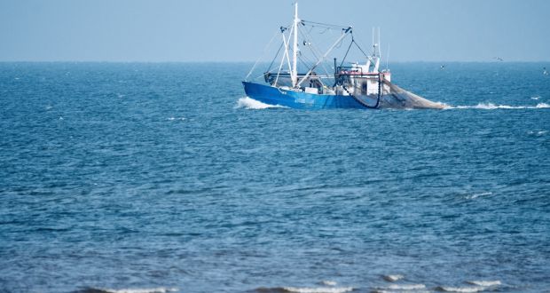A migrant fisherman claims he was underpaid €37,000 by the operator of two Wexford-based trawlers while he worked up to 18 to 20 hours a day at sea hauling nets and processing prawns. 