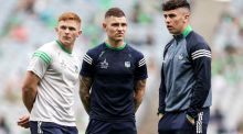 Limerick players inspect the pitch before last year’s All-Ireland hurling final. Photograph: Laszlo Geczo/Inpho