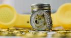 Cryptocurrency Dogecoin started life as a joke but a year ago it was valued at almost $90 billion. Now it has collapsed. Photograph: iStock