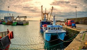 Kilmore Quay, Co Wexford: ‘The residents and business owners in Kilmore Quay take great pride in their village.’ Photograph: Getty Images