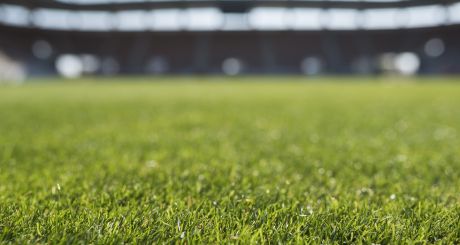 ‘Match-fixing and corruption is a threat to all sports at all levels and undermines public confidence in the fairness of sport’, said Det Supt Catharina Gunne. Photograph: iStock