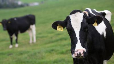 Analysis: Lifting of Irish beef ban to US is good timing for industry