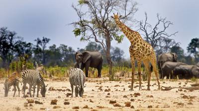 Travel Advice: How to get to Africa, as holiday interest increases