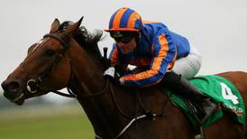 Soft Curragh going proves no problem for Herald The Dawn