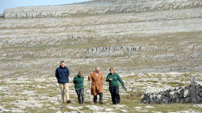 Scheme to aid rare flora in the Burren to be extended