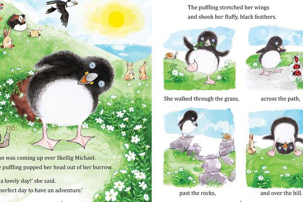 How a puffin got from the Skelligs to Grafton Street for World Book Day
