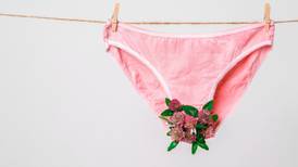 Róisín Ingle: Period knickers? A bloody great idea if you ask me