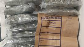 Eight arrested in Limerick after €900,000 worth of cannabis herb seized