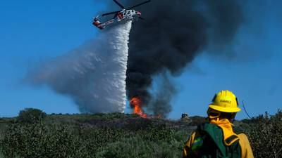 Wildfire events likely to increase by 50% as climate changes, UN warns