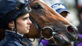Ballydoyle’s resources at full stretch around the globe