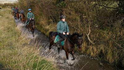 Leopardstown to host Cheltenham-bound horses for two days of workouts