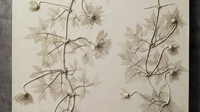 Dig in: Botanical artist whose unusual work is highly collectible