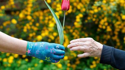 How to create a dementia-friendly garden